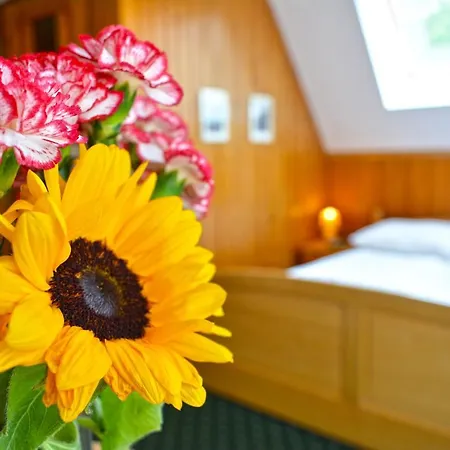 Halka Bed & Breakfast 3*